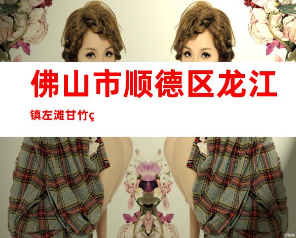 佛山市顺德区龙江镇左滩甘竹电器厂