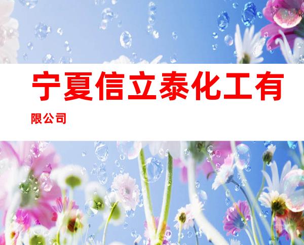宁夏信立泰化工有限公司