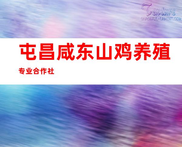 屯昌咸东山鸡养殖专业合作社