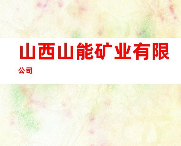山西山能矿业有限公司