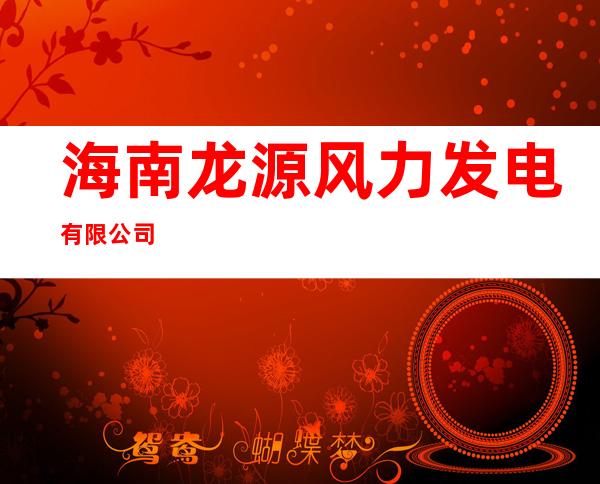 海南龙源风力发电有限公司