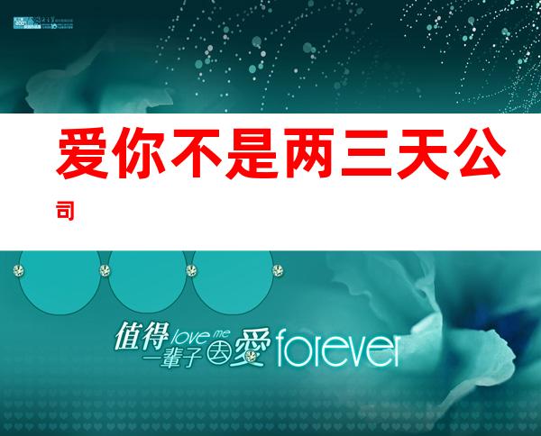 爱你不是两三天公司