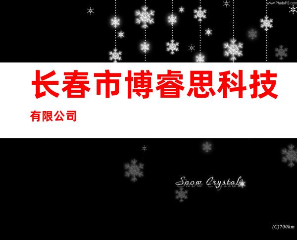 长春市博睿思科技有限公司