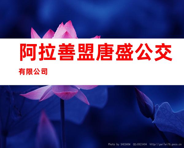 阿拉善盟唐盛公交有限公司